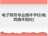 电子商务专业插本学校(电商插本院校)