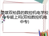 楚雄双柏县的数控机电学校中专能上吗(双柏数控机电中专)