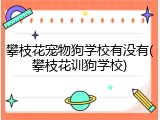 攀枝花宠物狗学校有没有(攀枝花训狗学校)