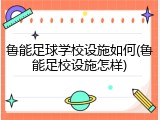 鲁能足球学校设施如何(鲁能足校设施怎样)
