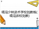 塔沟少林武术学校刘教练(塔沟武校刘教)