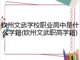 钦州文武学校职业高中是什么学籍(钦州文武职高学籍)
