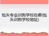 包头专业训狗学校在哪(包头训狗学校地址)