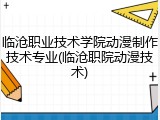 临沧职业技术学院动漫制作技术专业(临沧职院动漫技术)