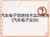 汽车电子信息技术实训报告(汽车电子实训)