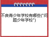 不良青少年学校有哪些("问题少年学校")