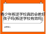 青少年叛逆学校真的会教好孩子吗(叛逆学校有效吗)