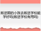 叛逆期的小孩去叛逆学校能学好吗(叛逆学校有用吗)