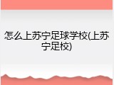 怎么上苏宁足球学校(上苏宁足校)