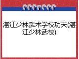 湛江少林武术学校功夫(湛江少林武校)
