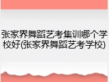 张家界舞蹈艺考集训哪个学校好(张家界舞蹈艺考学校)