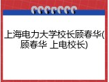 上海电力大学校长顾春华(顾春华 上电校长)