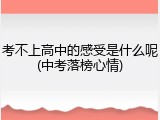 考不上高中的感受是什么呢(中考落榜心情)