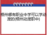 梧州哪有职业中学可以学动漫的(梧州动漫职中)