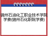锦州石油化工职业技术学院学费(锦州石化职院学费)