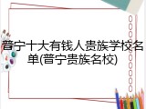普宁十大有钱人贵族学校名单(普宁贵族名校)
