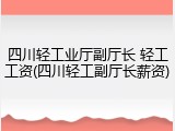 四川轻工业厅副厅长 轻工工资(四川轻工副厅长薪资)