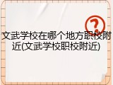 文武学校在哪个地方职校附近(文武学校职校附近)