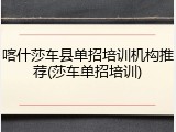 喀什莎车县单招培训机构推荐(莎车单招培训)