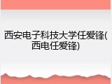 西安电子科技大学任爱锋(西电任爱锋)