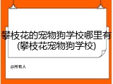 攀枝花的宠物狗学校哪里有(攀枝花宠物狗学校)
