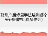 贺州产后修复手法培训哪个好(贺州产后修复培训)