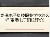 贵港电子科技职业学校怎么样(贵港电子职校评价)