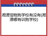湘潭宠物狗学校有没有(湘潭哪有训狗学校)
