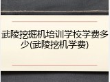 武陵挖掘机培训学校学费多少(武陵挖机学费)