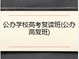 公办学校高考复读班(公办高复班)