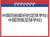中国目前最好的足球学校(中国顶级足球学校)