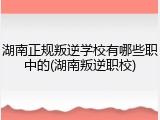 湖南正规叛逆学校有哪些职中的(湖南叛逆职校)