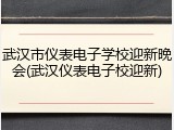 武汉市仪表电子学校迎新晚会(武汉仪表电子校迎新)