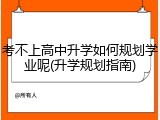 考不上高中升学如何规划学业呢(升学规划指南)