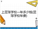 上足球学校一年多少钱(足球学校年费)