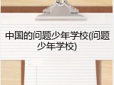 中国的问题少年学校(问题少年学校)