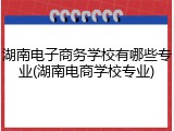 湖南电子商务学校有哪些专业(湖南电商学校专业)