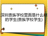 深圳贵族学校里面是什么样的学生(贵族学校学生)