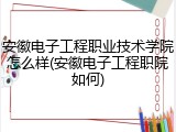 安徽电子工程职业技术学院怎么样(安徽电子工程职院如何)