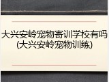 大兴安岭宠物寄训学校有吗(大兴安岭宠物训练)