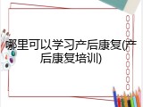 哪里可以学习产后康复(产后康复培训)