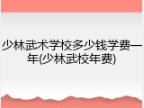 少林武术学校多少钱学费一年(少林武校年费)