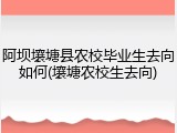 阿坝壤塘县农校毕业生去向如何(壤塘农校生去向)