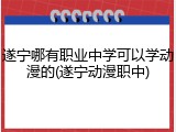 遂宁哪有职业中学可以学动漫的(遂宁动漫职中)