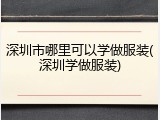深圳市哪里可以学做服装(深圳学做服装)