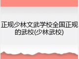 正规少林文武学校全国正规的武校(少林武校)