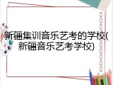 新疆集训音乐艺考的学校(新疆音乐艺考学校)