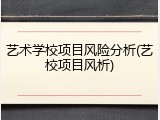艺术学校项目风险分析(艺校项目风析)