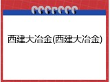 西建大冶金(西建大冶金)