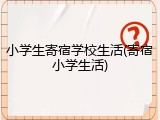 小学生寄宿学校生活(寄宿小学生活)